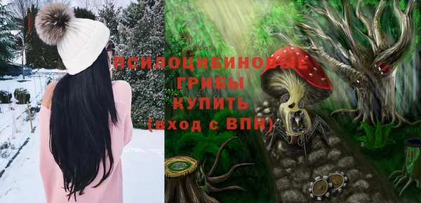 дживик Армянск